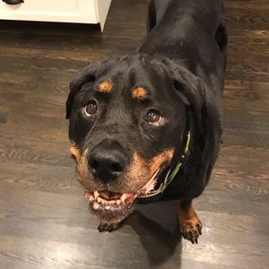 Meet your Posher, Norah